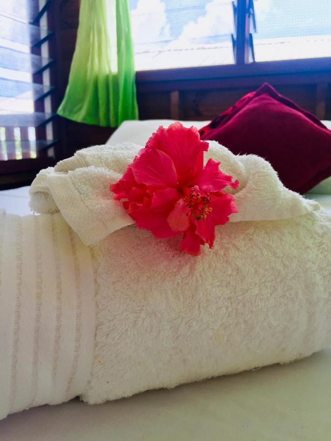Bed and Breakfast Apaula Heights Lounge Apia Zewnętrze zdjęcie